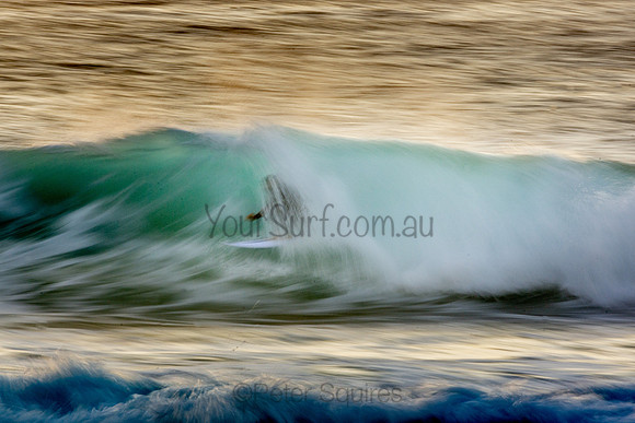 Whale Beach 11/6/20