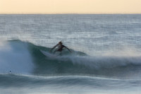 Whale Beach 11/6/20