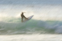 Whale Beach 11/6/20