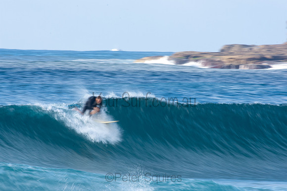 Whale Beach 11/6/20