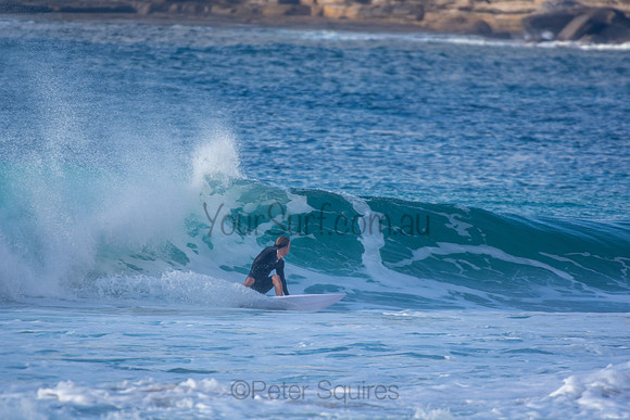 Whale Beach 11/6/20