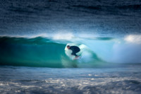 Whale Beach