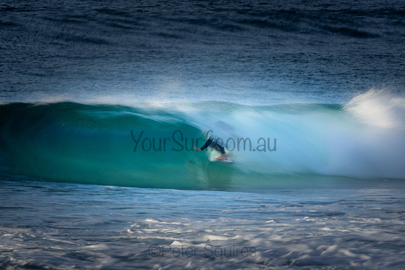 Whale Beach