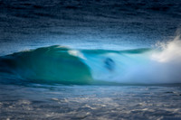 Whale Beach