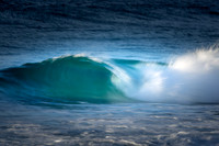Whale Beach