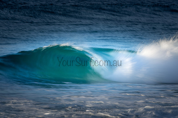Whale Beach