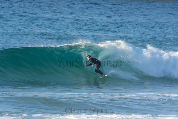 Whale Beach