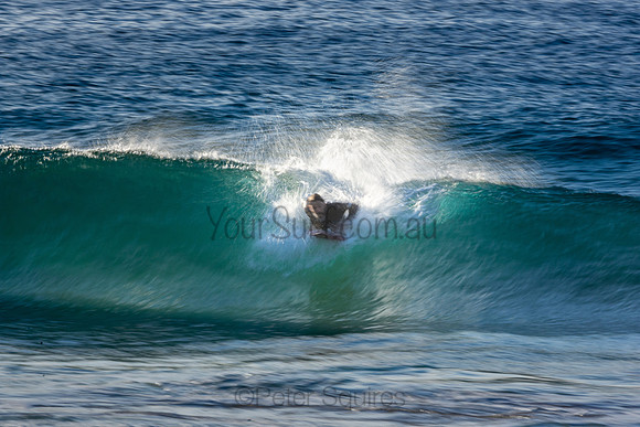 Whale Beach