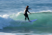 Whale Beach