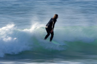 Whale Beach