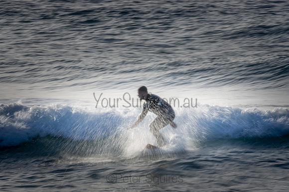 Whale Beach