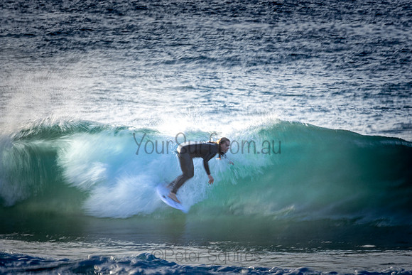 Whale Beach