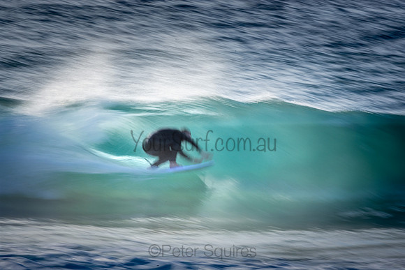 Whale Beach