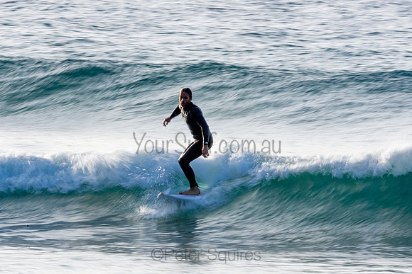 Whale Beach