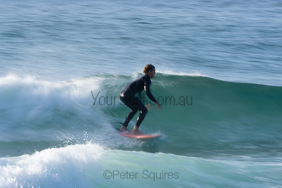 Whale Beach