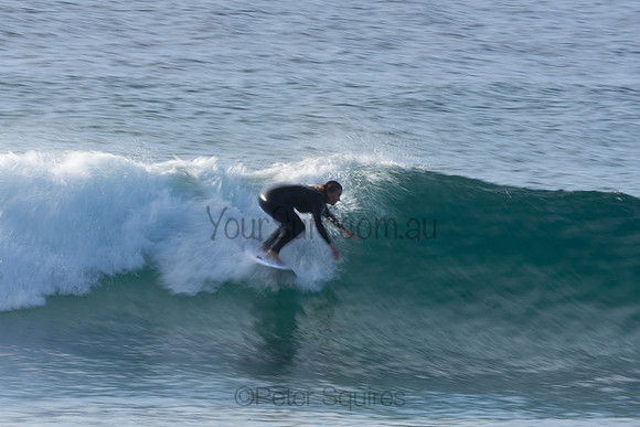 Whale Beach