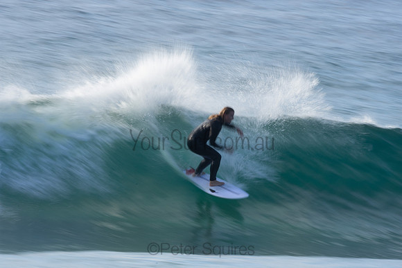 Whale Beach