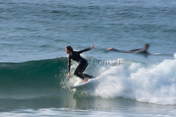 Whale Beach