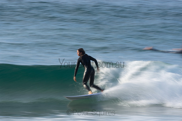 Whale Beach