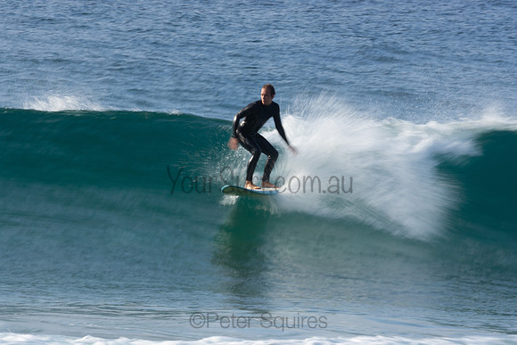 Whale Beach
