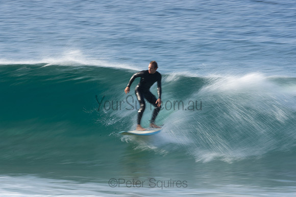 Whale Beach