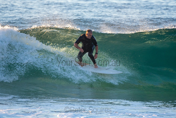 Whale Beach