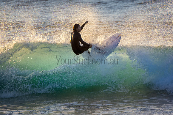Whale Beach
