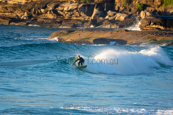 Whale Beach