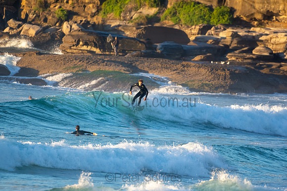 Whale Beach
