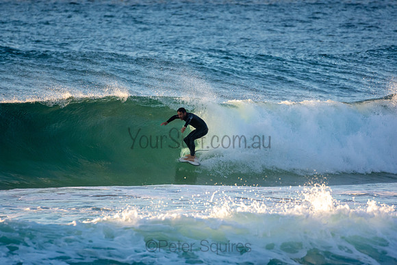 Whale Beach