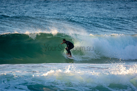 Whale Beach