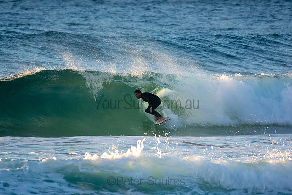 Whale Beach