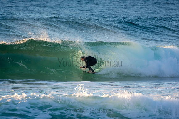 Whale Beach