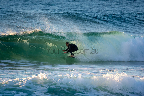 Whale Beach