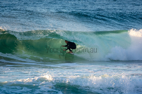 Whale Beach