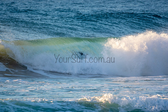 Whale Beach
