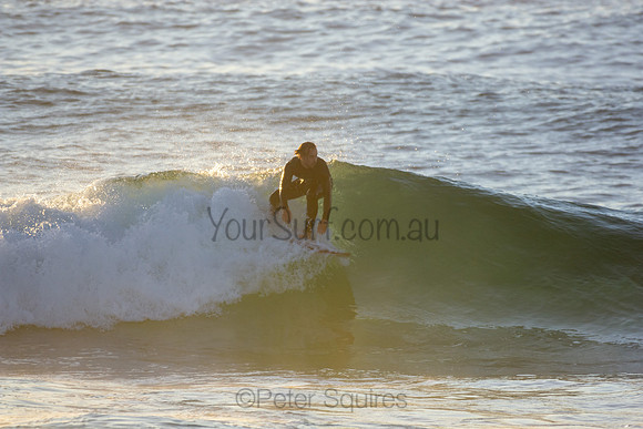 Whale Beach