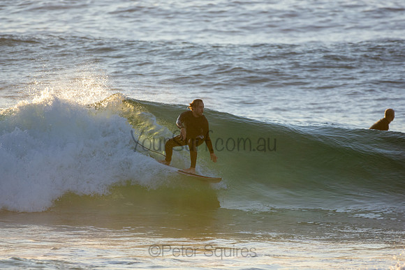 Whale Beach