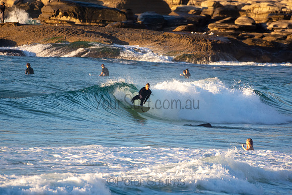 Whale Beach