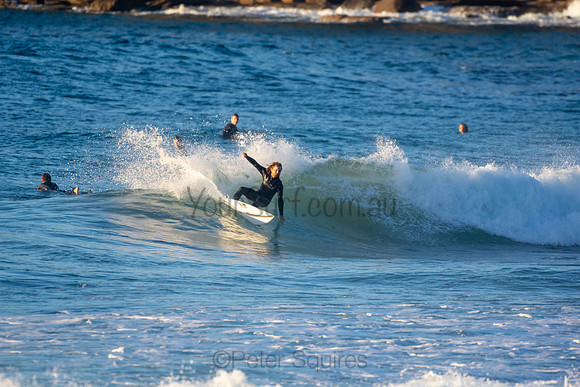 Whale Beach
