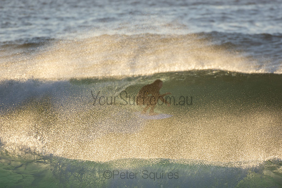 Whale Beach