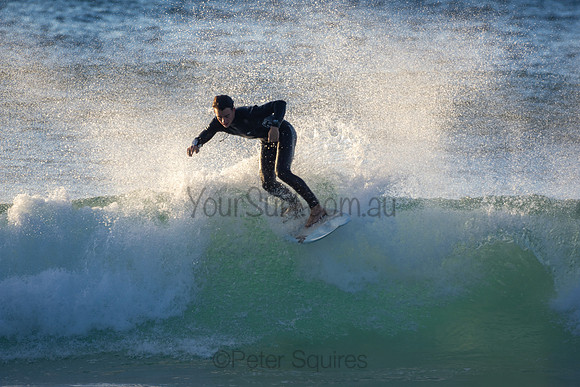 Whale Beach