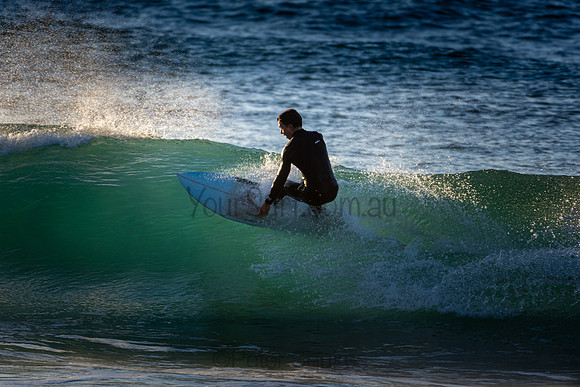 Whale Beach