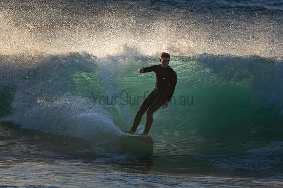 Whale Beach