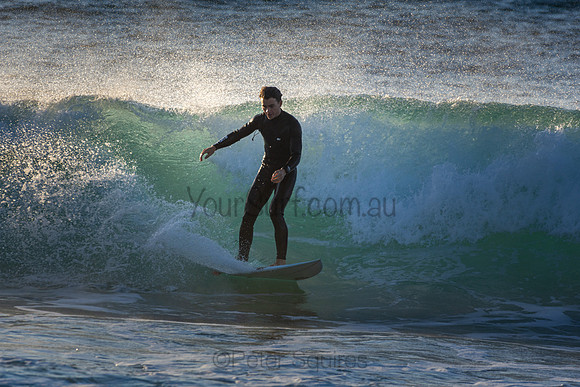 Whale Beach
