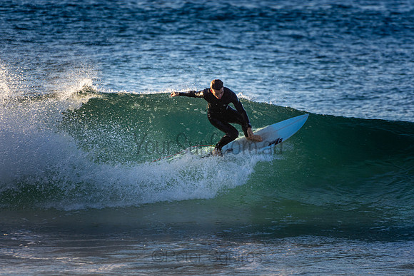 Whale Beach