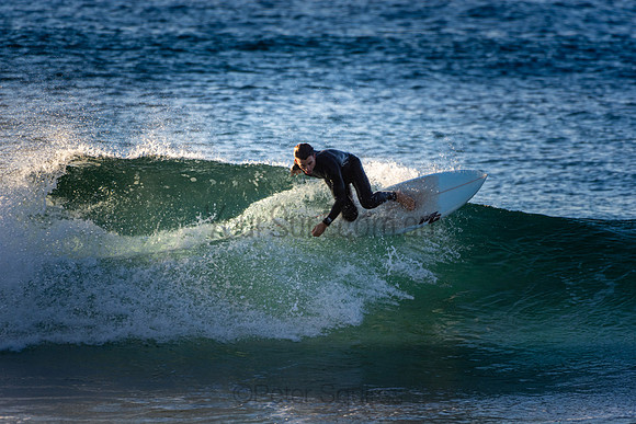 Whale Beach