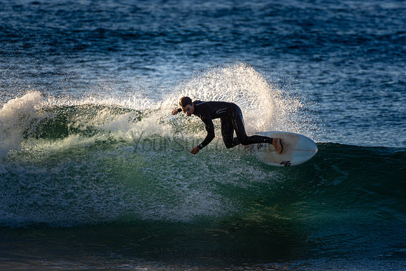 Whale Beach