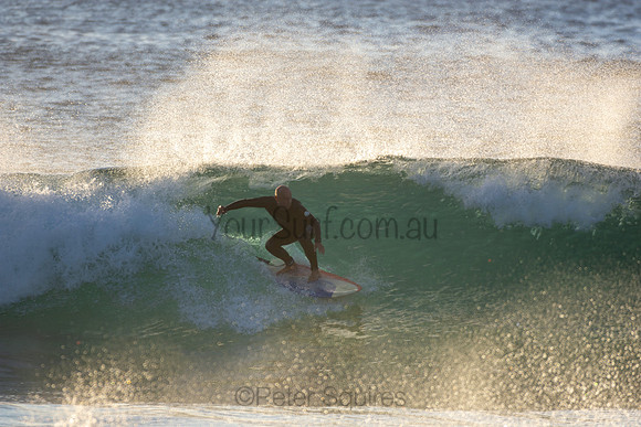 Whale Beach