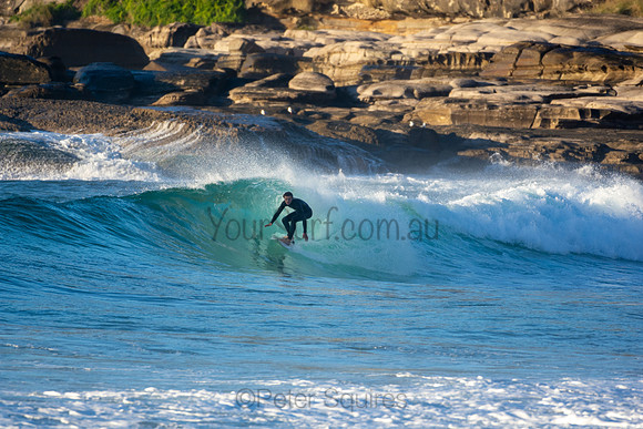 Whale Beach